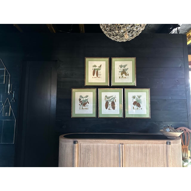 Beautifully hand coloured etchings print in Italy on water colour paper. Recently mated and framed.