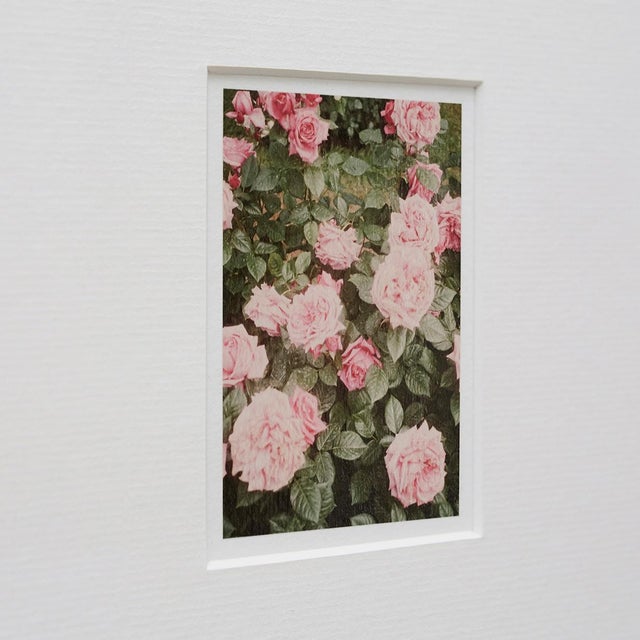 The Rose Garden Nº 14 Print by David Urbano, 2018 For Sale - Image 6 of 9