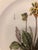 Ceramic Italian Ceramiche Floral Decorative Plates (Set of 4) For Sale - Image 7 of 8