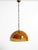 Large Italian Resin Pendant Lamp with Embedded Maple Leaves, 1970s For Sale - Image 9 of 18