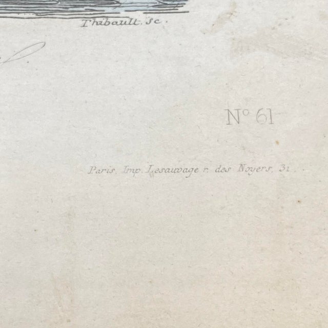 Paper French Antique 18th Century "La Genette" Animal Engraving Hand Colored Signed Artwork For Sale - Image 7 of 12