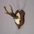 Rustic European Antique Roe Deer Trophy on Turned Plaque, Germany ca.1930s For Sale - Image 3 of 6