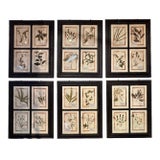 Set of 8 French Vintage Botanical Prints For Sale