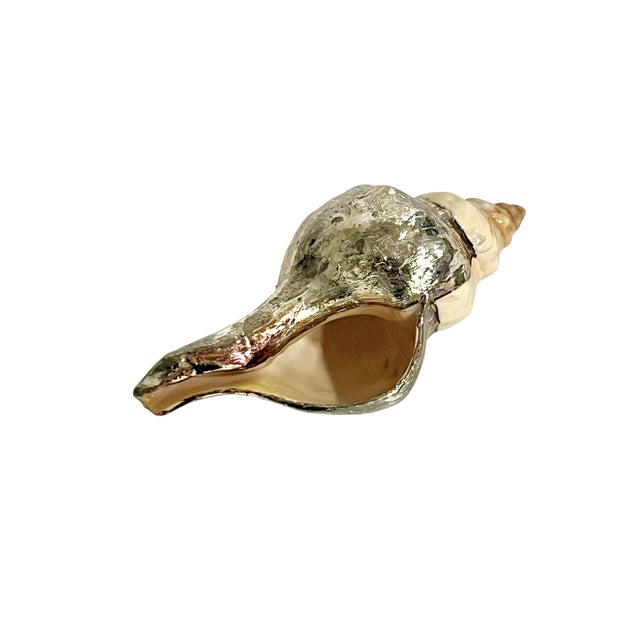 Vintage Partially Silvered Conch Shell in the Style of Bucellati For Sale - Image 11 of 15