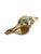 Vintage Partially Silvered Conch Shell in the Style of Bucellati For Sale - Image 11 of 15