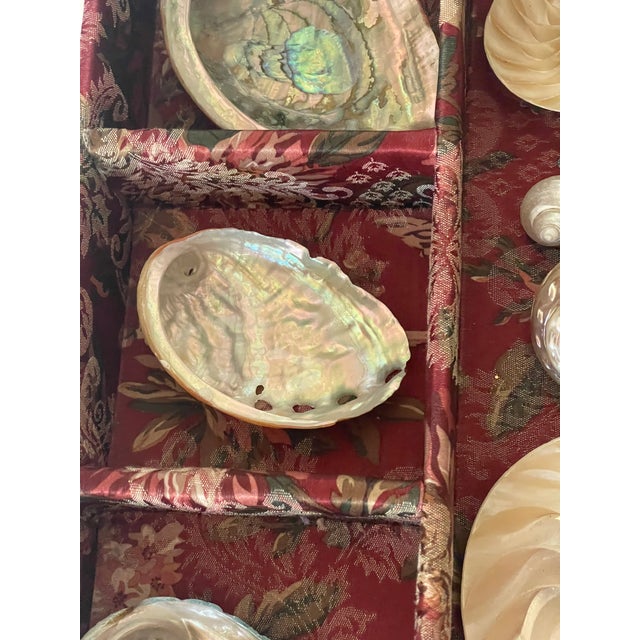 Coastal 1970s Great Vintage Coastal Collection of Mother of Pearl Sea Shell in Tapestry Tray For Sale - Image 3 of 5