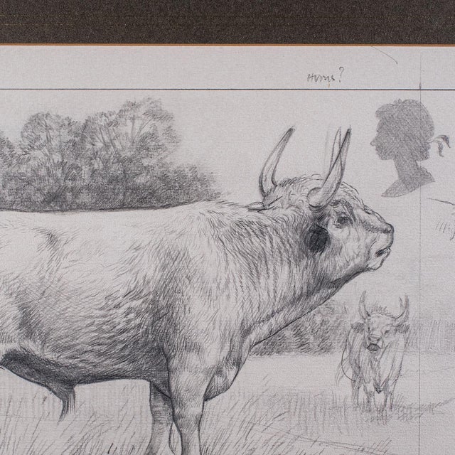 1980s Artist's Proof Sketch, English, Framed Drawing, Barry Driscoll, Chillingham Bull For Sale - Image 5 of 10