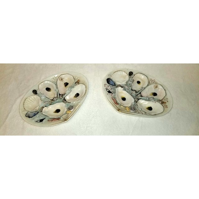 Hand painted in 1881 in Greenport New York, a beautiful pair of oyster plates. No chips, no cracks, slight yellowing from...