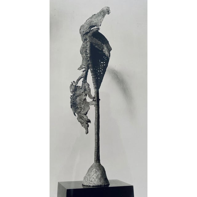 Adolph Studly, Swiss born American photographer. His work is kept in the Photographic Archive at The Museum of Modern Art...