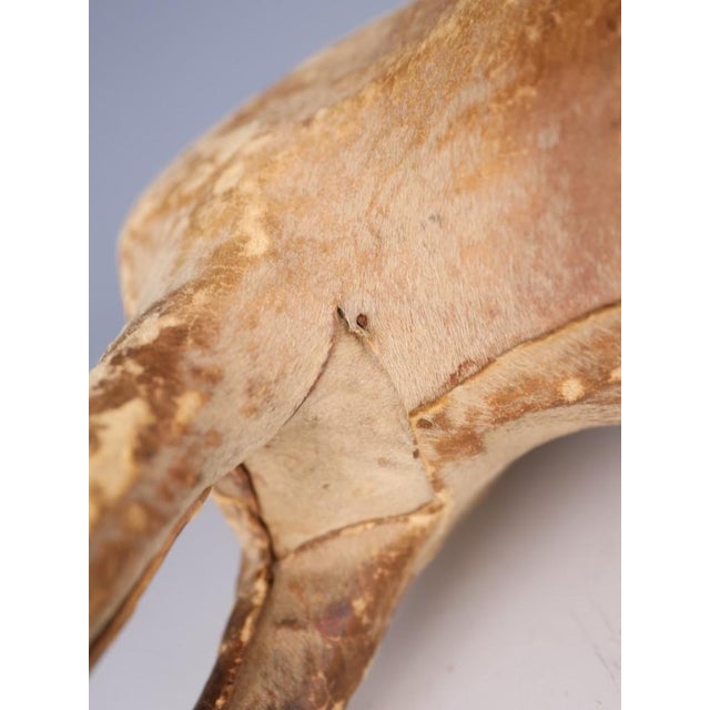 Antique Horse Covered in Genuine Horse Hide with Glass Eyes, 1890 For Sale - Image 12 of 16
