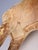 Antique Horse Covered in Genuine Horse Hide with Glass Eyes, 1890 For Sale - Image 12 of 16