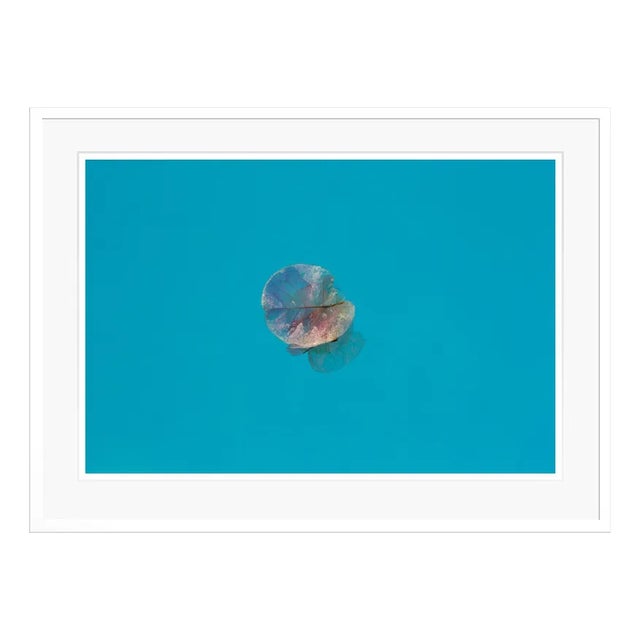 Stuart Möller, Istan Petal, 2020, Colour Photograph For Sale