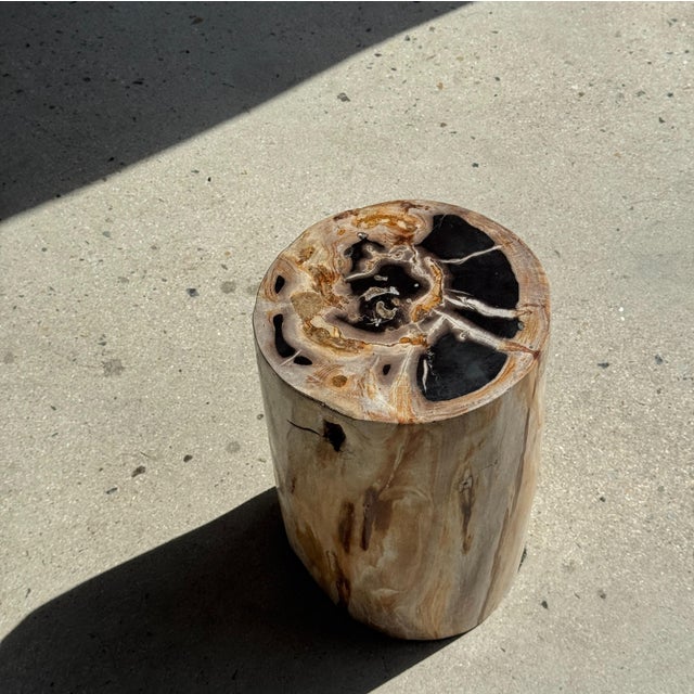 Multicoloured Petrified Wood Side Table For Sale - Image 12 of 16