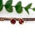Contemporary Timeless Round 6mm Red Garnet Martini Studs in Solid 14k Gold-Set of 2 For Sale - Image 3 of 7