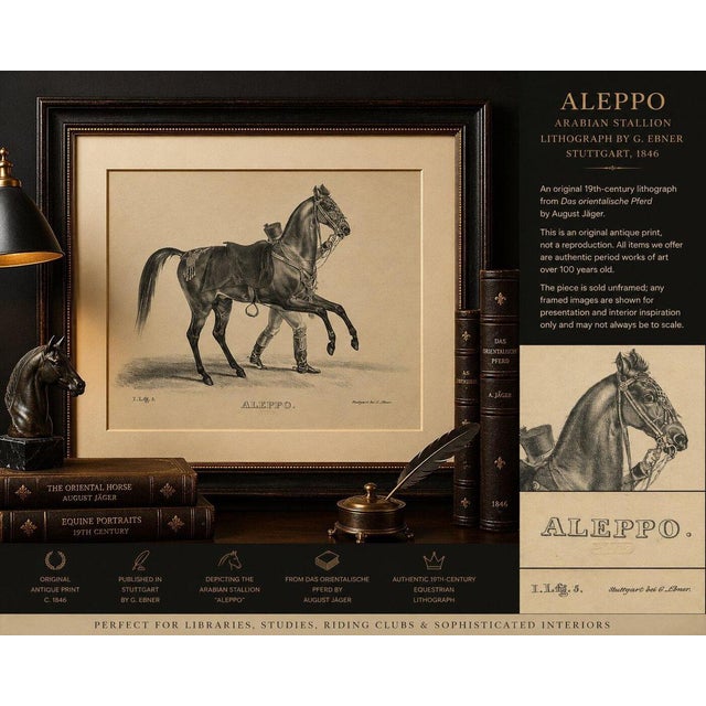 August Jäger, Aleppo, 1846, Lithograph For Sale - Image 9 of 10