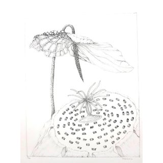 Gochka Charewicz - Herbarium - Original Signed Lithograph For Sale