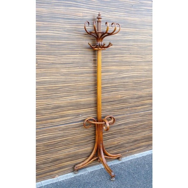 Tan Wall-Mounted Coat and Umbrella Rack from Jacob & Josef Kohn, 1905 For Sale - Image 8 of 9