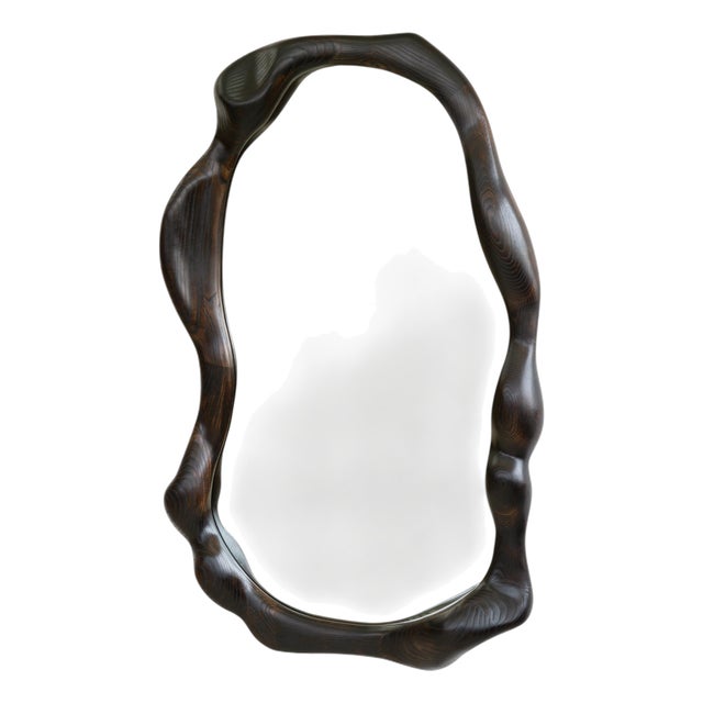 Organic Shaped Charred Red Oak Wall Mirror by Alexander Knysch For Sale