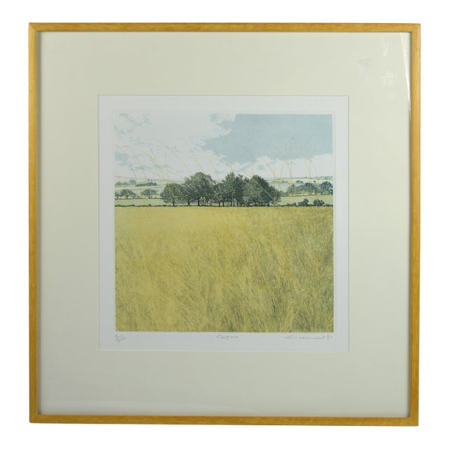 Late 20th Century Phil Greenwood (Uk B 1943) Fine Landscape Etching Signed For Sale