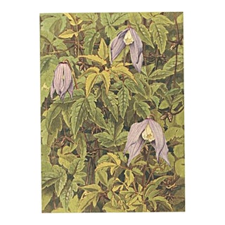1945 Botanical Watercolor Lithograph-Clematis For Sale