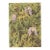 1945 Botanical Watercolor Lithograph-Clematis For Sale
