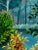Pure crisp colors of autumn enliven this beautifully reproduced giclee landscape by US artist Wynn Yarrow. Known for her...