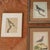 Birds: Antique Copperplate Engravings of by François Martinet - Set of Four For Sale - Image 14 of 14