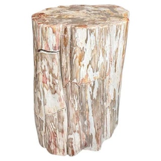 Andrianna Shamaris Coral Toned Ancient Petrified Wood Side Table For Sale