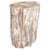 Andrianna Shamaris Coral Toned Ancient Petrified Wood Side Table For Sale