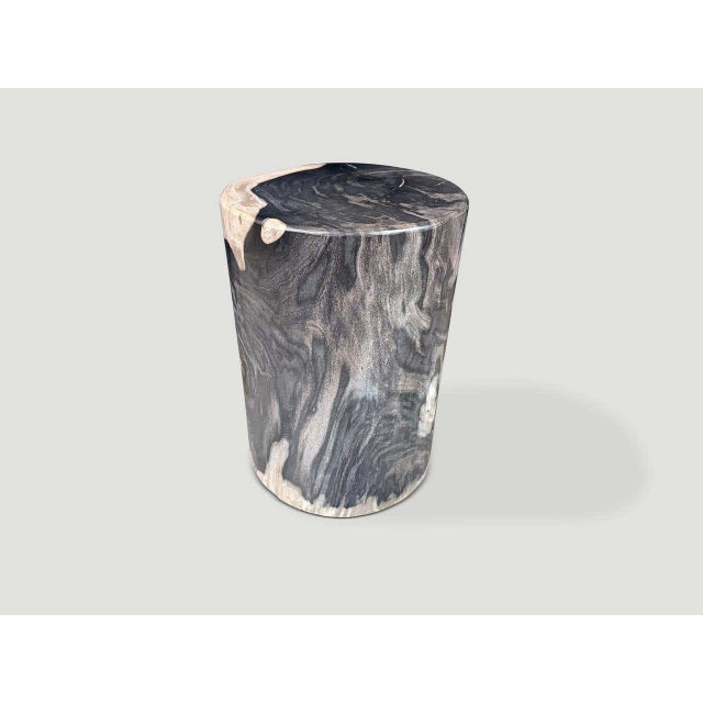 Contemporary Andrianna Shamaris Modern Organic Super Smooth Petrified Wood Side Table For Sale - Image 3 of 5