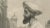 After Daniell, Muslim at Prayer, 1836, Engraving For Sale - Image 3 of 9