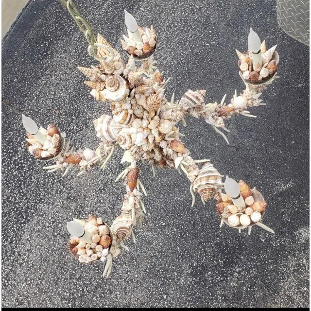 Custom Art Deco Style Natural Sea Shell Chandelier For Sale In Dallas - Image 6 of 9