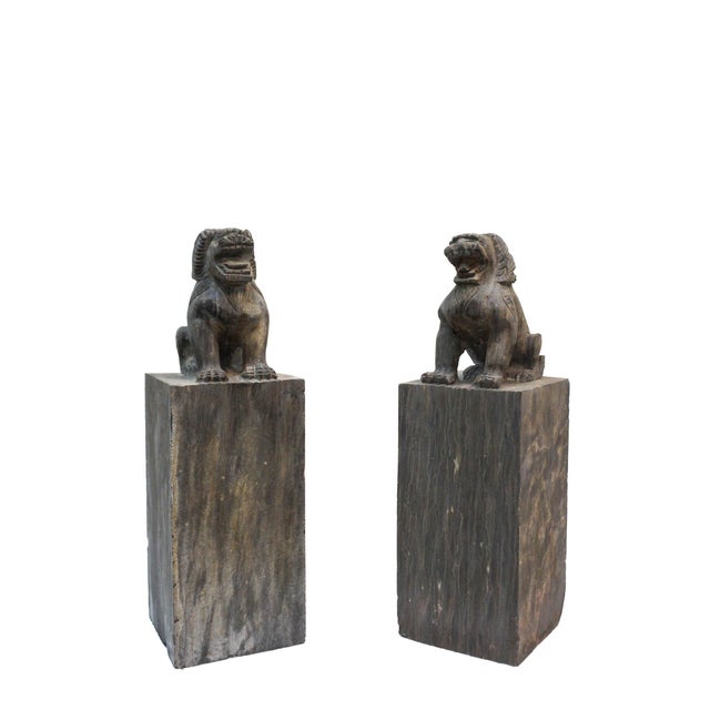 1930s Garden Foo Dogs Stone 1930s Medium - Set of 2 For Sale - Image 5 of 13