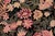 Shabby Chic David Pak-Persian Black/Red Wool Rug - 10'1'' X 13'10'' For Sale - Image 4 of 8