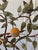 Green Vintage Mid Century Italian Tole Citrus Tree For Sale - Image 8 of 15