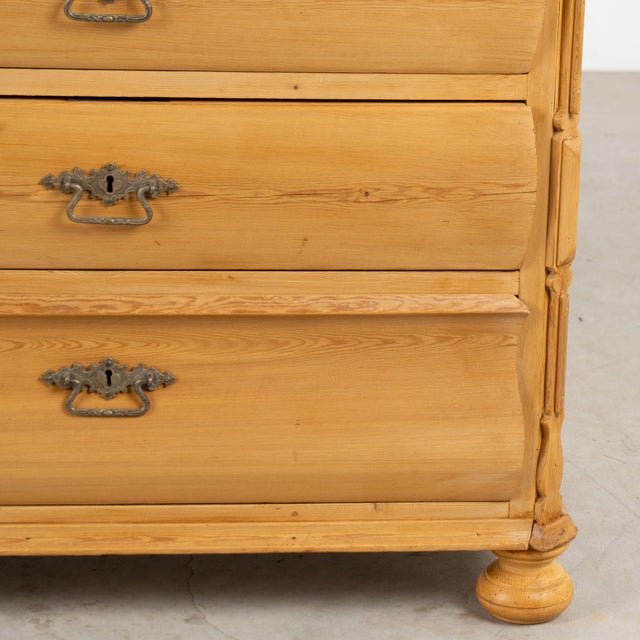 19th Century Danish Pine Chest of Four Curved Drawers For Sale - Image 15 of 16