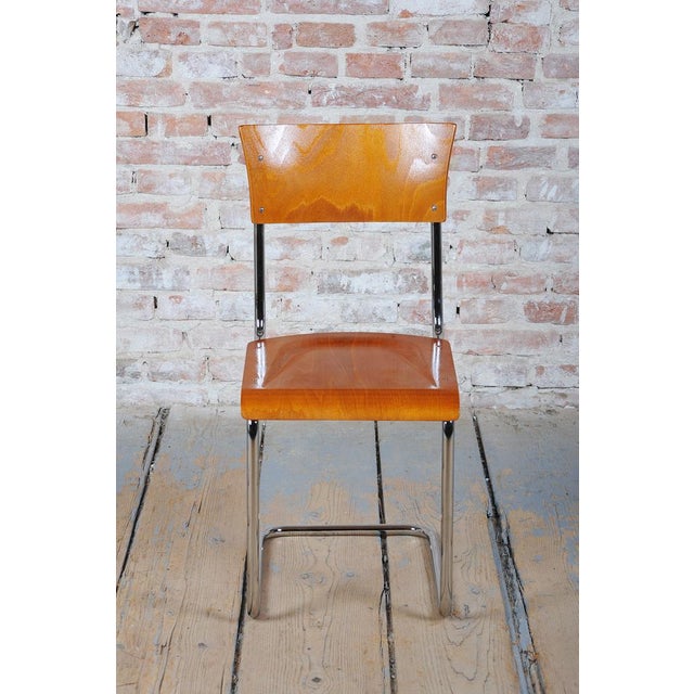 Wood Bauhaus Chairs in Beech and Chromed Steel, Czech, 1930s, Set of 2 For Sale - Image 7 of 11