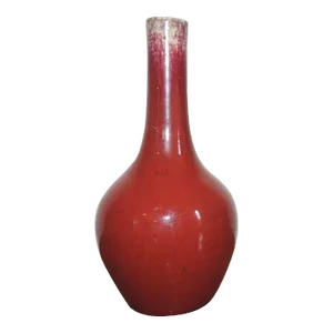 19th Century Chinese Sang de Boeuf Oxblood Porcelain Bottle Shaped Vase
