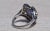 Metal The Lathrop: Star Sapphire and Diamond Ring in Platinum For Sale - Image 7 of 11