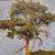 French School Artist, Pine Forest, 20th Century, Oil on Canvas, Framed For Sale - Image 7 of 18