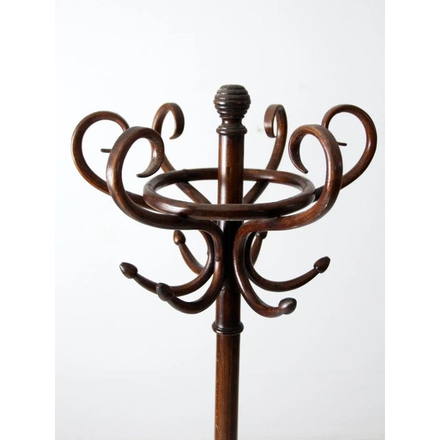 Antique Bentwood Hall Tree For Sale - Image 9 of 11