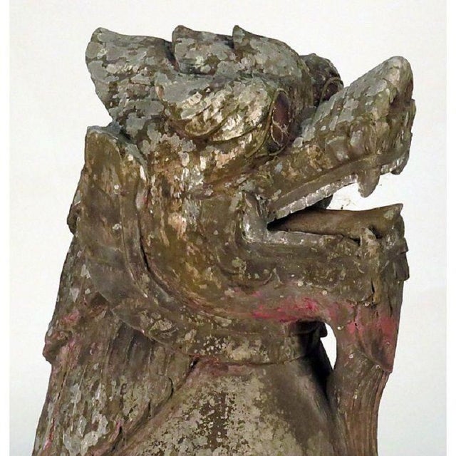 19th Century Pair of Wood Palace Lions, Southeast Asia, Weathered With Mica Eyes For Sale - Image 5 of 7