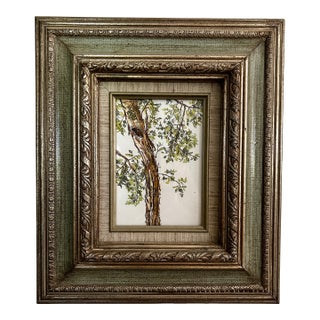 Framed Original Watercolor Small Painting “Eucalyptus Tree” Framed For Sale