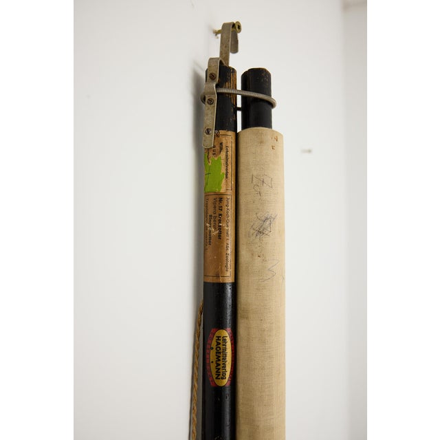 Jung-Koch-Quentell German Zoological Snake Anatomy Wall Chart, C. 1960s For Sale - Image 17 of 18