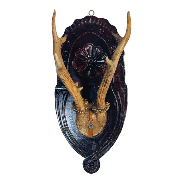 Vintage Roe Deer Trophy on a Carved Wood Board For Sale