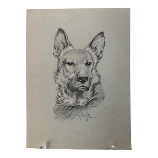 1940s Original Signed Graphite Illustration of German Shepherd Dog Portrait, 10.75 × 8 In. For Sale