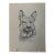 1940s Original Signed Graphite Illustration of German Shepherd Dog Portrait, 10.75 × 8 In. For Sale