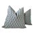 Peter Dunham Rajmata Indoor Outdoor Down Filled Pillows- a Pair For Sale