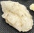 Gemstone Collection of 10 Museum Cataloged Connecticut River Valley Quartz Artifacts Indigenous Lithic Tools For Sale - Image 7 of 14