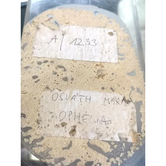 Marble Ophelia Sculpture on Acrylic Base by Maria Osvath, 1970s For Sale - Image 11 of 12